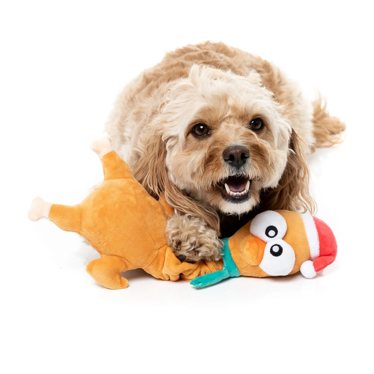 A small tan and cream poodle lies on a white studio background, playfully biting a plush FuzzYard Monecka The Turkey long-necked Christmas dog toy wearing a Santa hat.