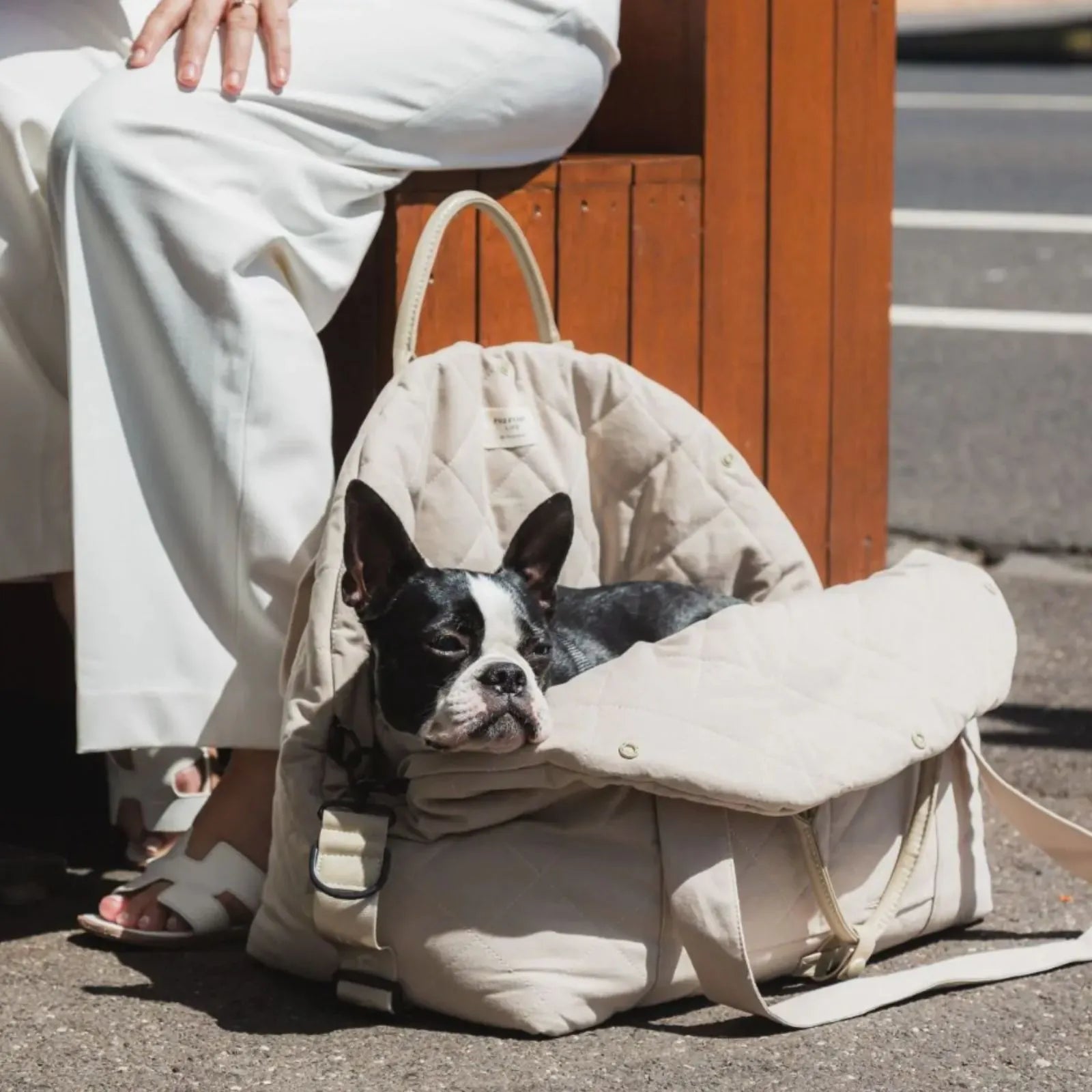 A black and white Boston Terrier dog rests inside a FuzzYard Life Multipurpose Pet Carrier and Car Seat placed on pavement next to a seated person in white clothing.