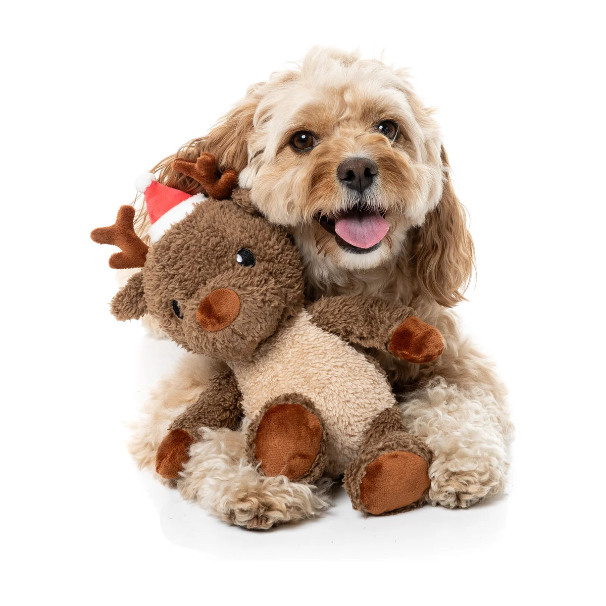 A small fluffy cream-colored dog sitting behind a FuzzYard Ralph The Reindeer plush Christmas dog toy with a red and white Santa hat, photographed on a clean white background.