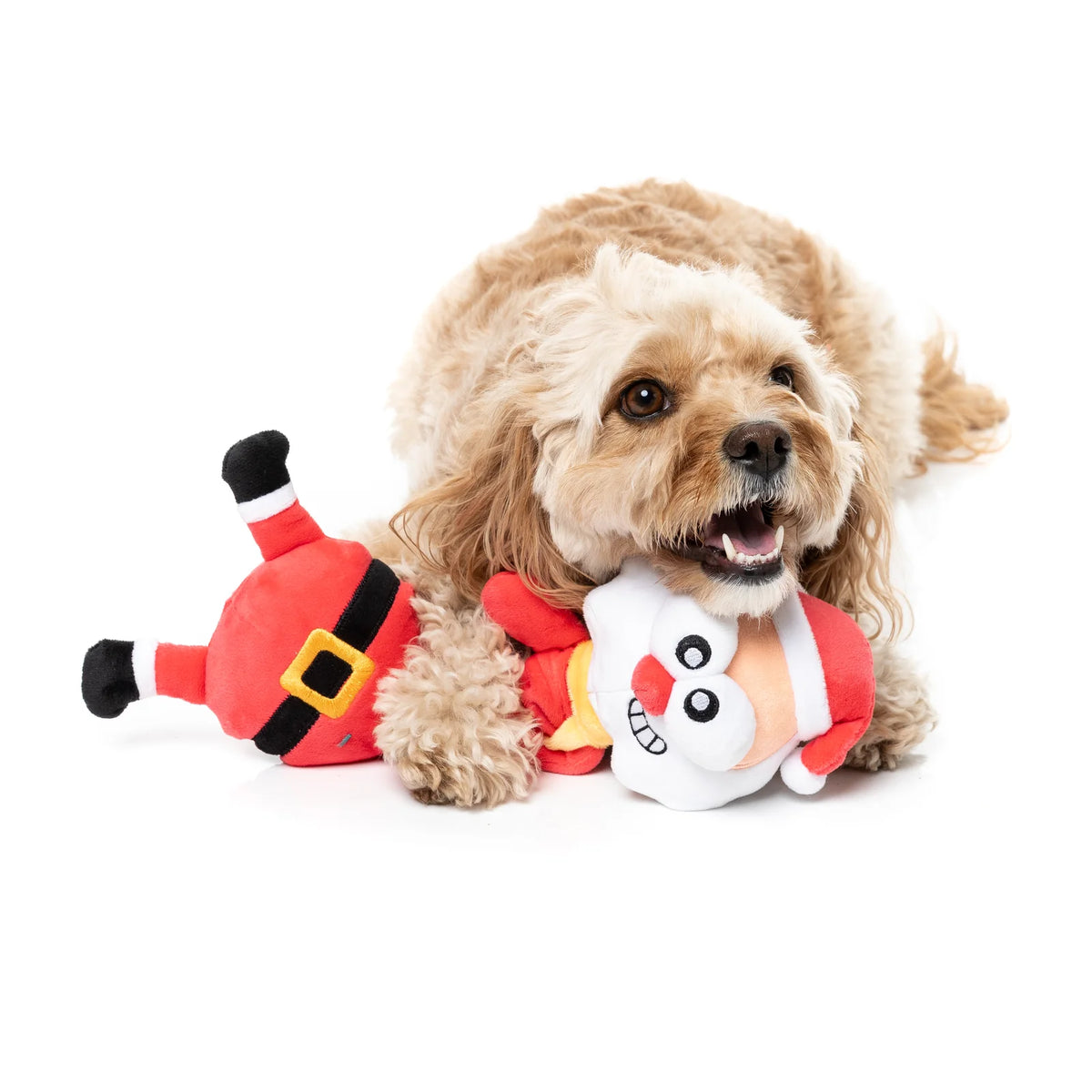 A small tan dog lying on a white background, holding a plush FuzzYard Saint Neckolas long-necked Santa Christmas dog toy in its mouth next to another plush toy dressed as Santa.