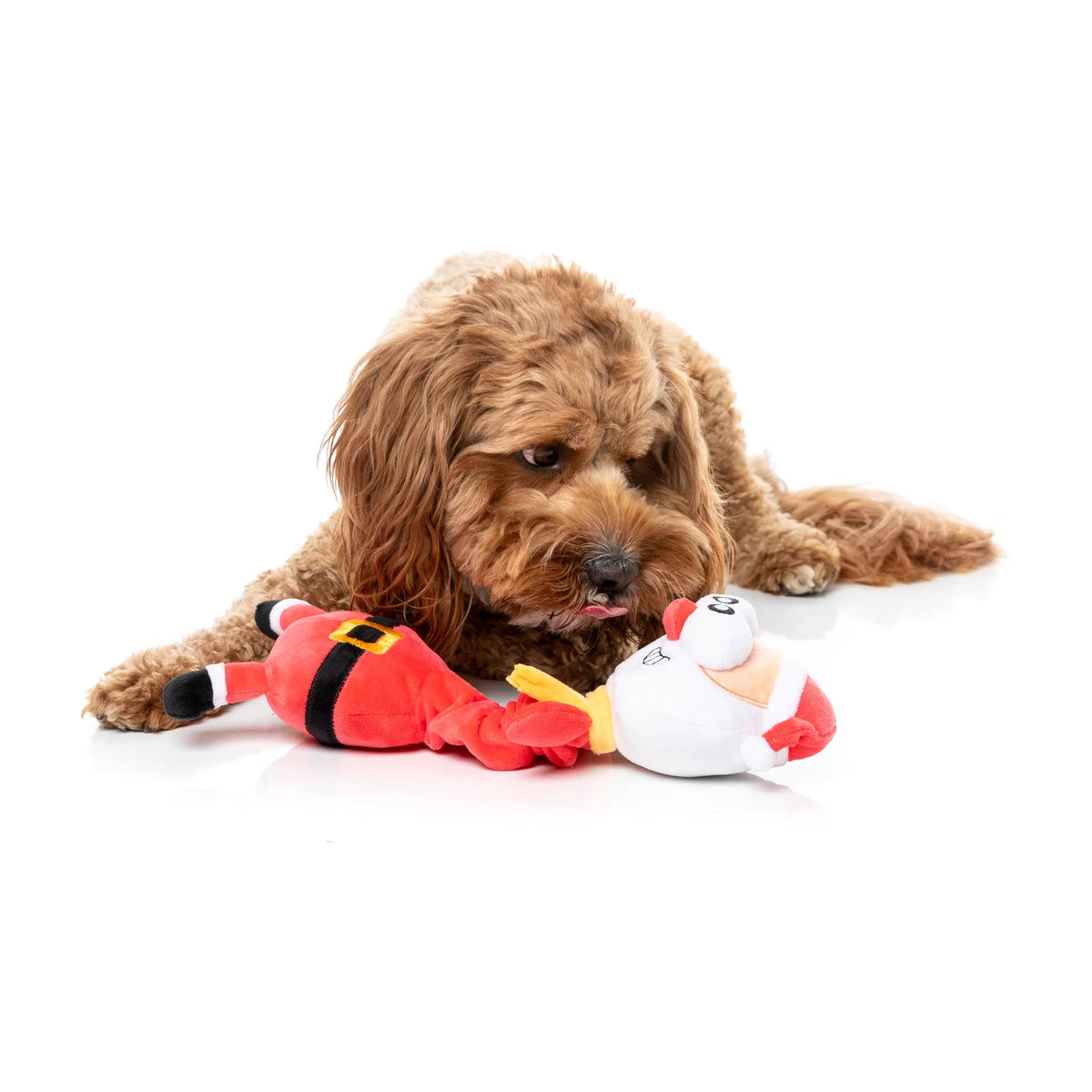 A brown curly-haired dog lies on a white studio floor, chewing on a plush FuzzYard Saint Neckolas long-necked Santa Christmas dog toy.