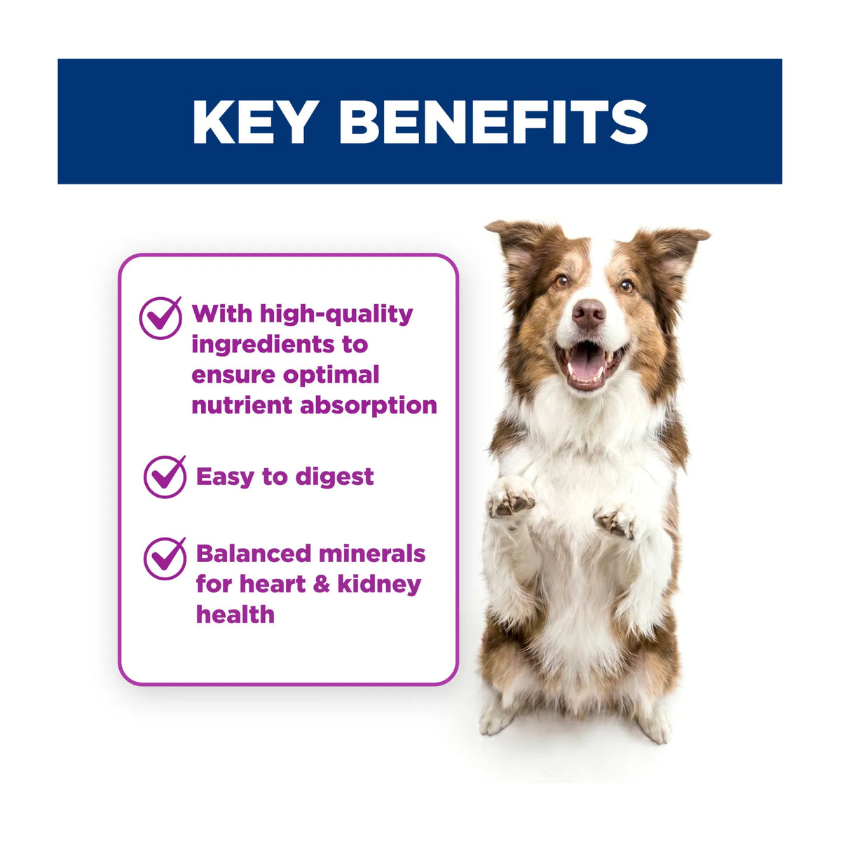 Hill's Science Diet Dog Food Can Adult 7+ Savoury Stew Beef & Vegetables - 363g x 12