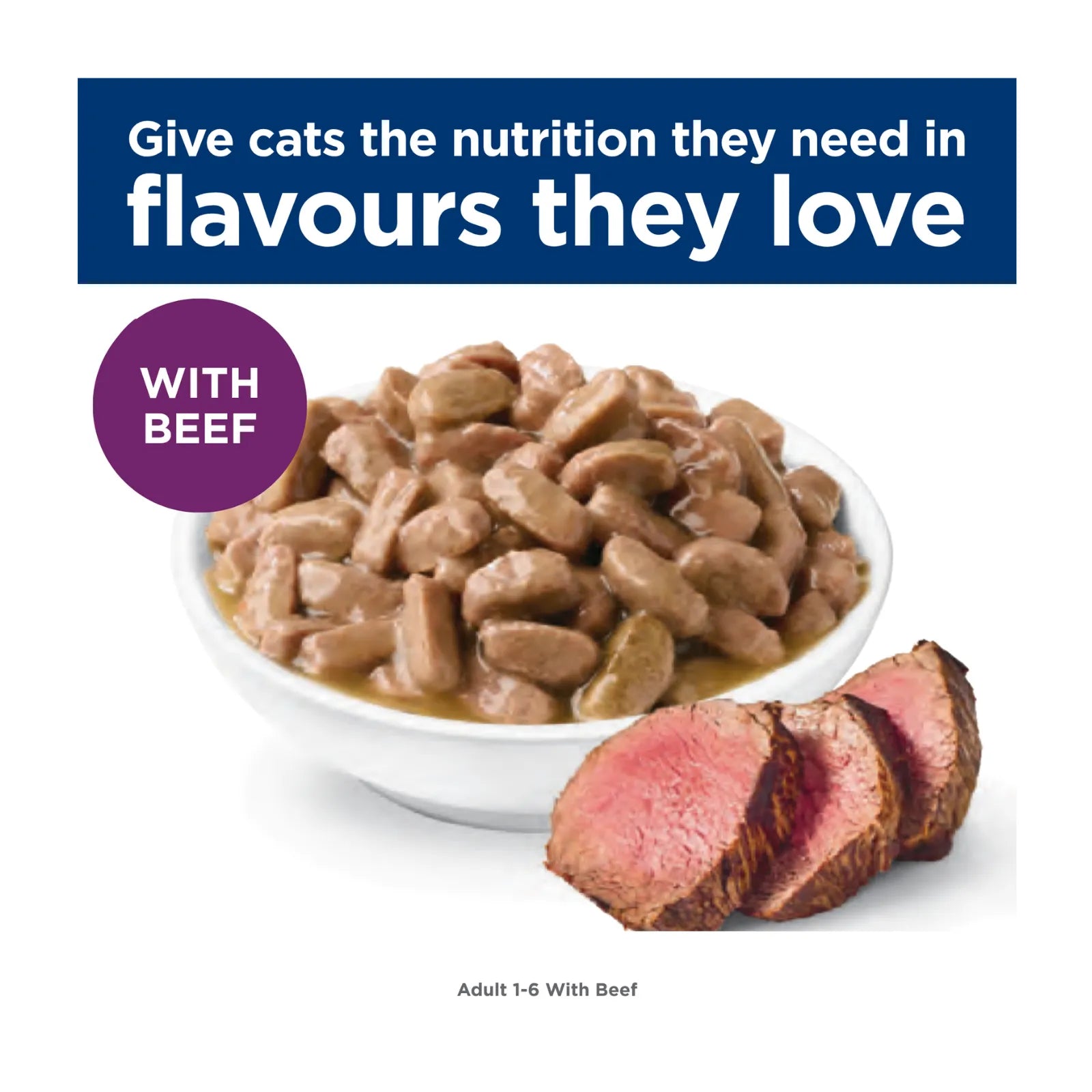 Hill's Science Diet Adult Beef Cat Food Pouch