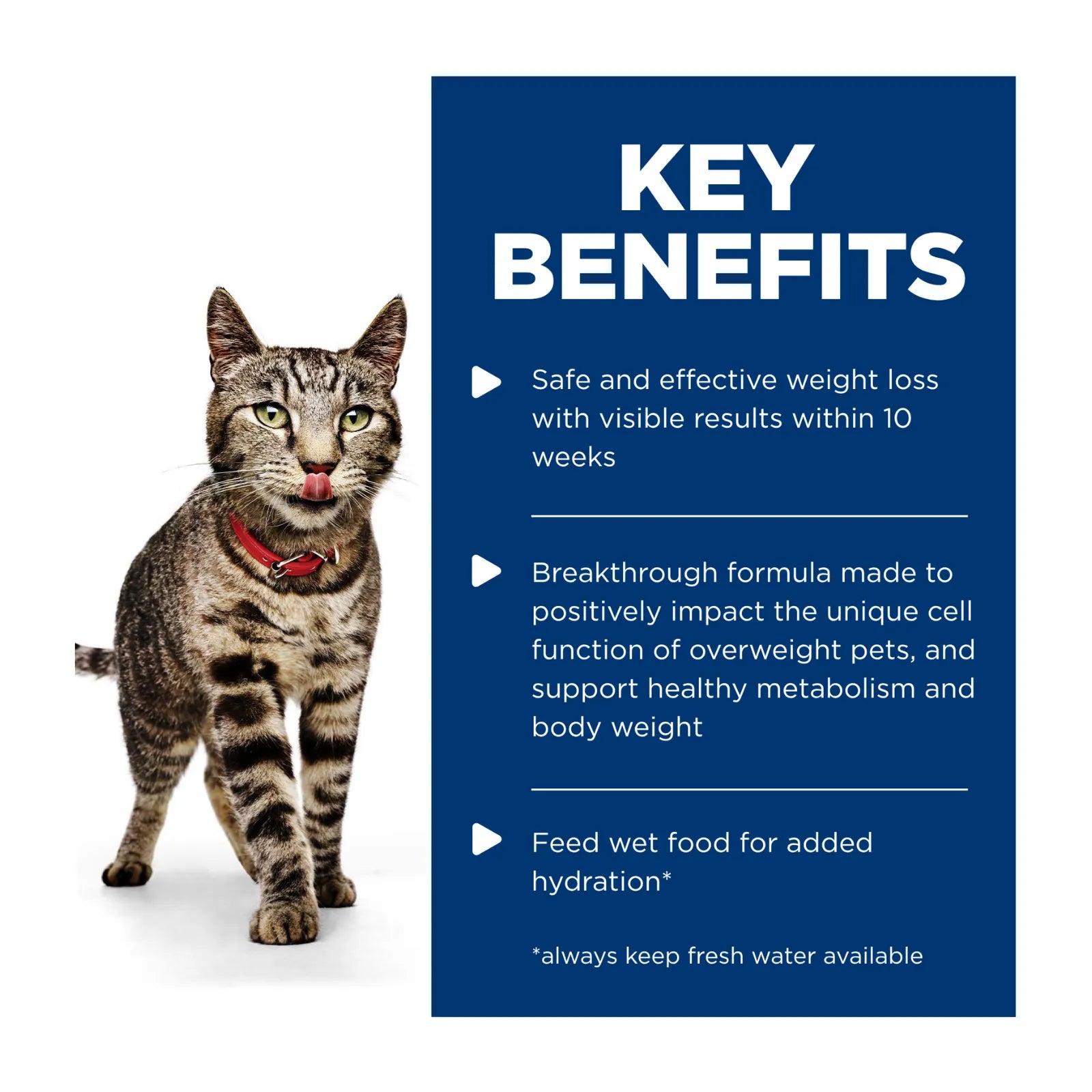 Hill's Science Diet Cat Food Pouch Adult Perfect Weight Salmon