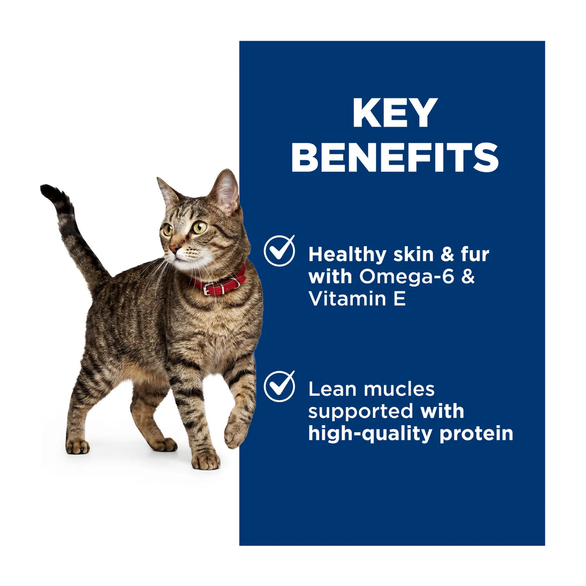 Hill's Science Diet Cat Food Pouch Adult Ocean Fish - 85g x 12