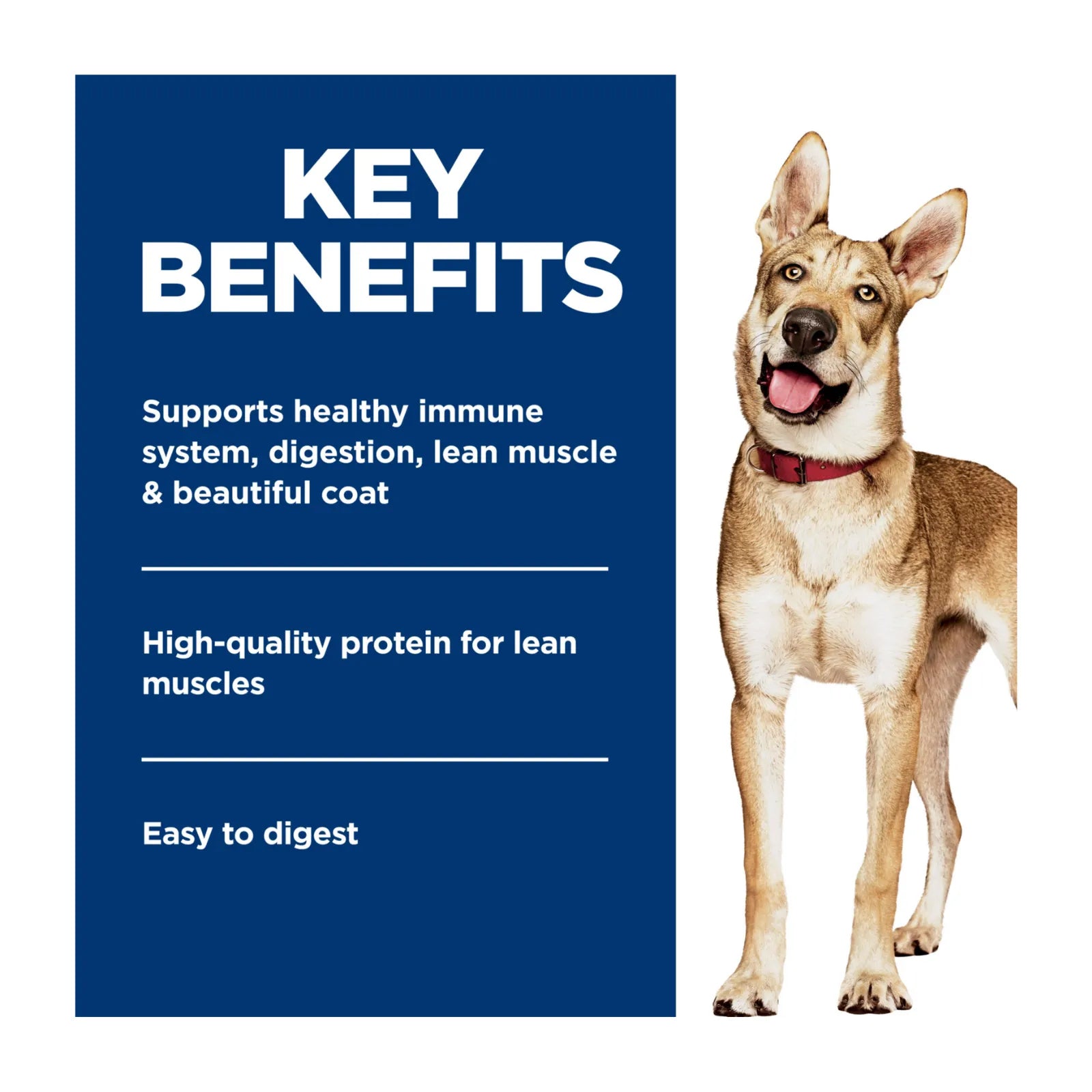 Hill's Science Diet Dog Food Can Adult Savoury Stew with Chicken & Vegetables