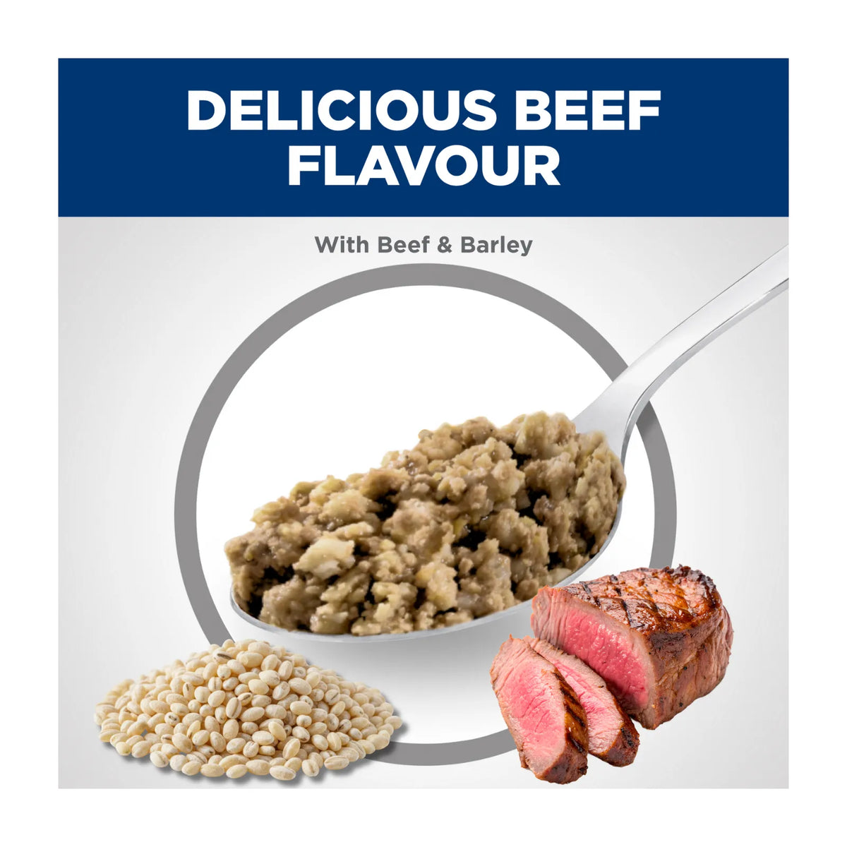 Hill's Science Diet Dog Food Can Adult Beef & Barley Entrée - 370g x 12