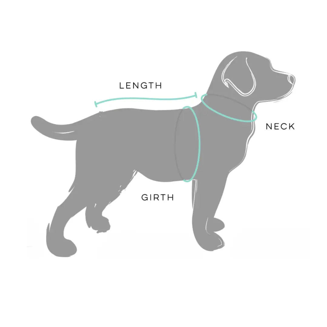 Huskimo Summit Pro Dog Coat - Uluru - Kellyville Pets