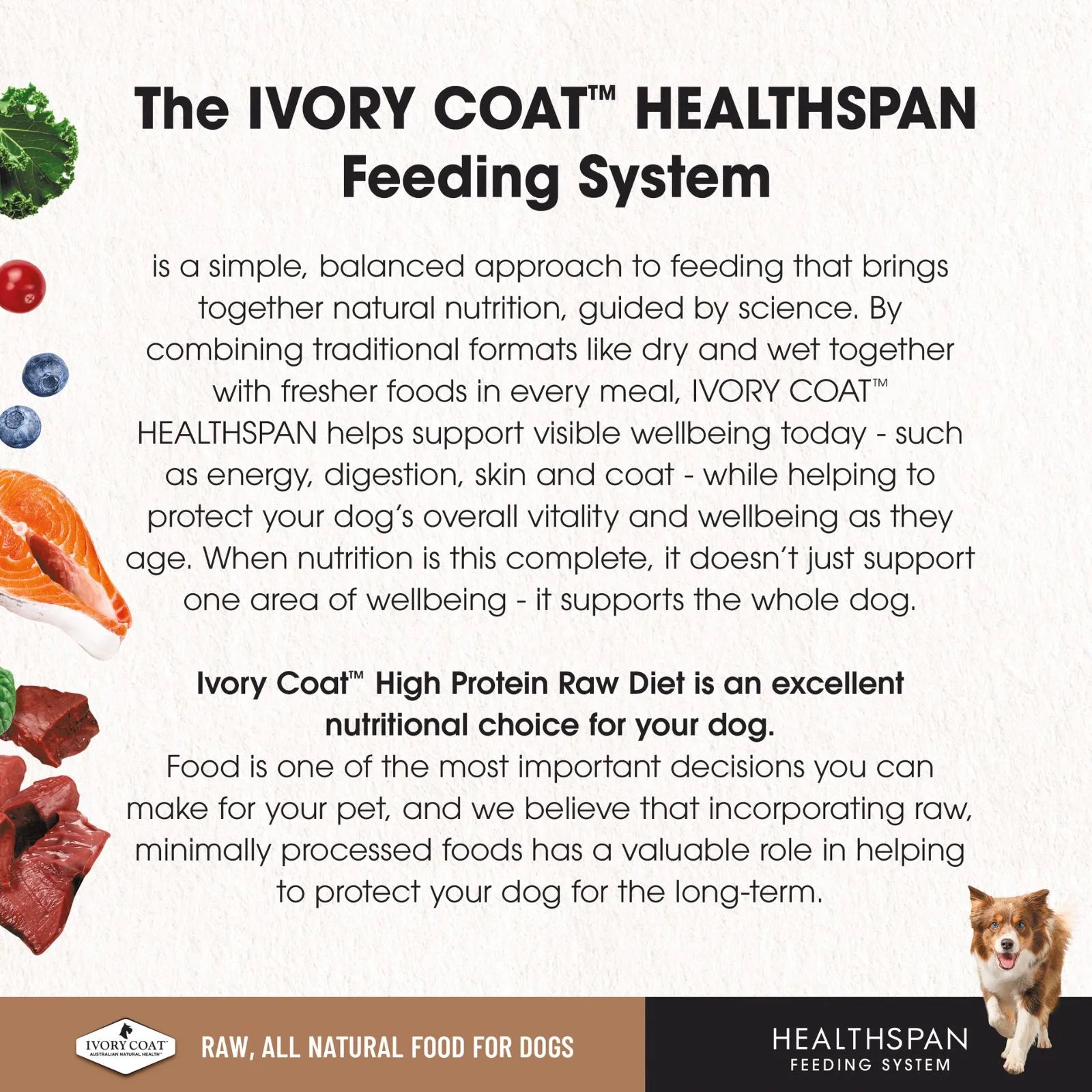 Ivory Coat Salmon Raw Frozen Dog Patties - 12 x 227g