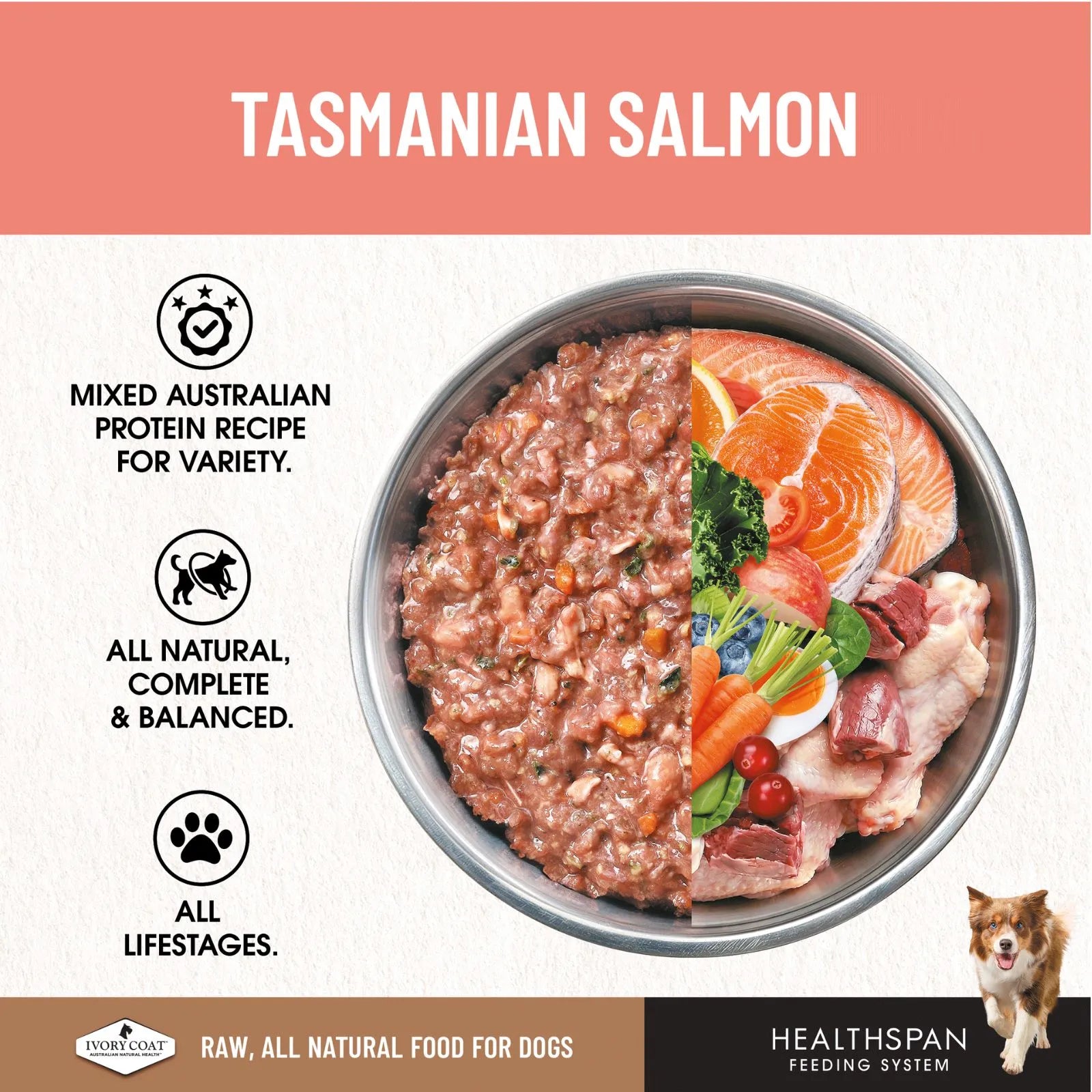 Ivory Coat Salmon Raw Frozen Dog Patties - 12 x 227g