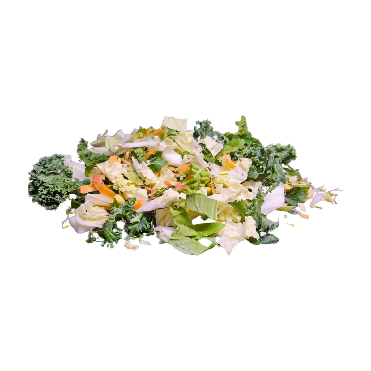 Lizard Veggie Mix