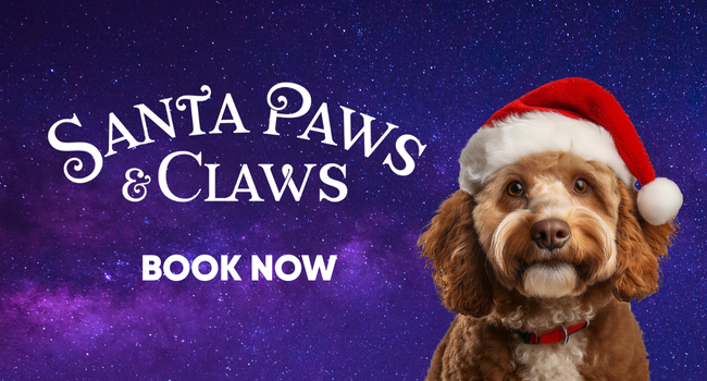 A festive image featuring a dog wearing a Santa hat, set against a starry night sky. The text reads 'SANTA PAWS & CLAWS' and 'BOOK NOW,' suggesting a holiday-themed event or service for pets.
