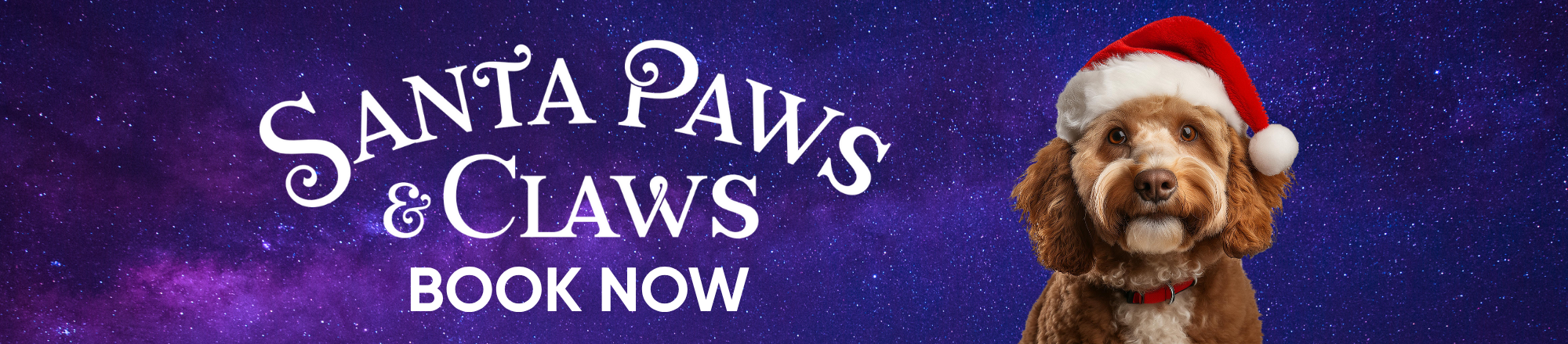 A festive image featuring a dog wearing a Santa hat, set against a starry night sky. The text reads 'SANTA PAWS & CLAWS' and 'BOOK NOW,' suggesting a holiday-themed event or service for pets.