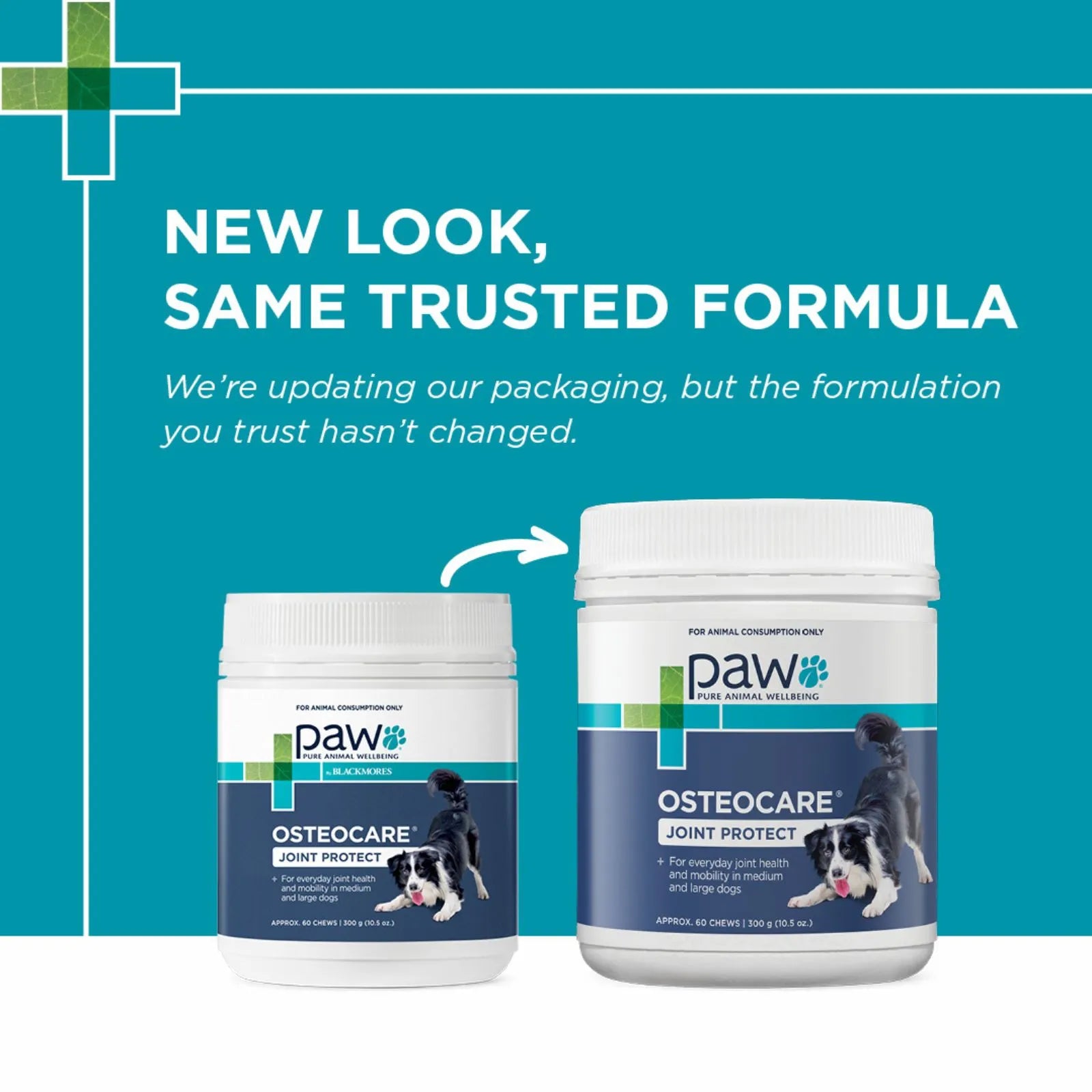 PAW Osteo Care Dog Chews for Joint Health