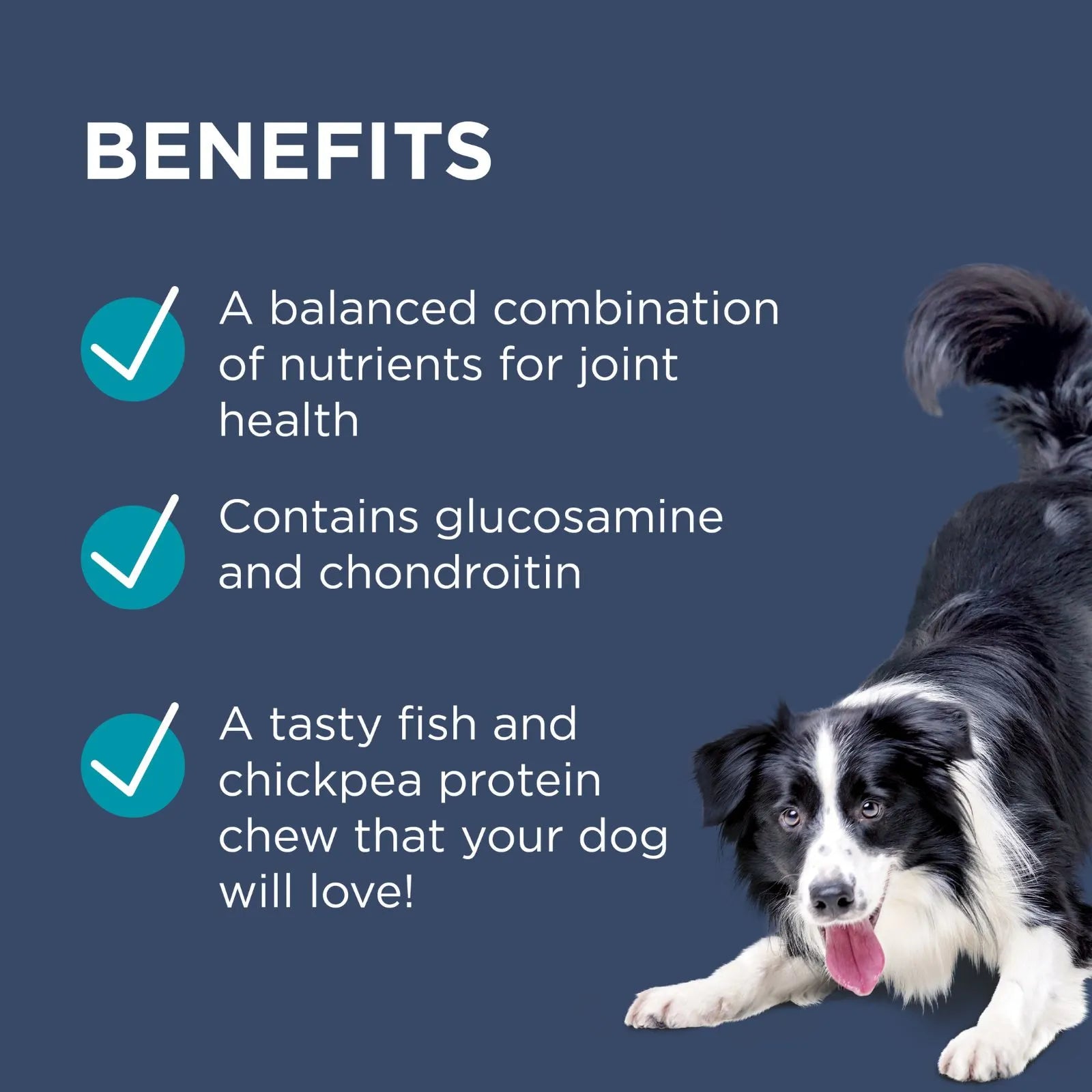 PAW Osteo Care Dog Chews for Joint Health