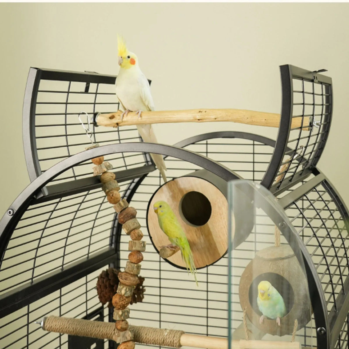 Petoria Aerie - Bird Enclosure with Shelf Storage