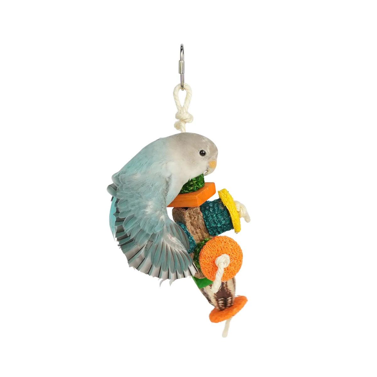 Petoria Carnival Wheels Bird Toy