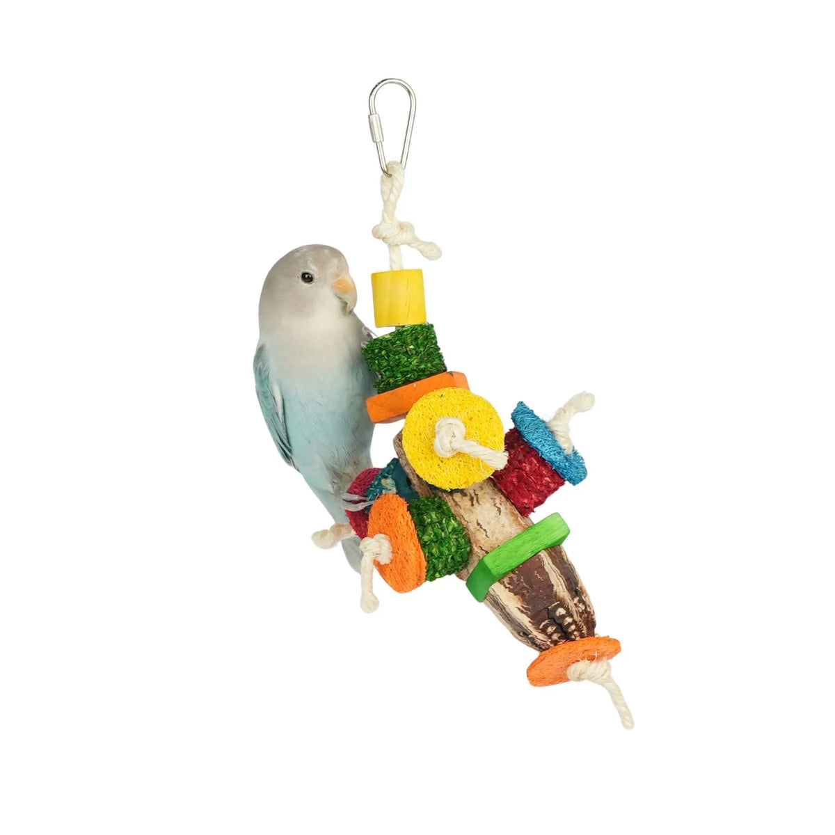 Petoria Carnival Wheels Bird Toy