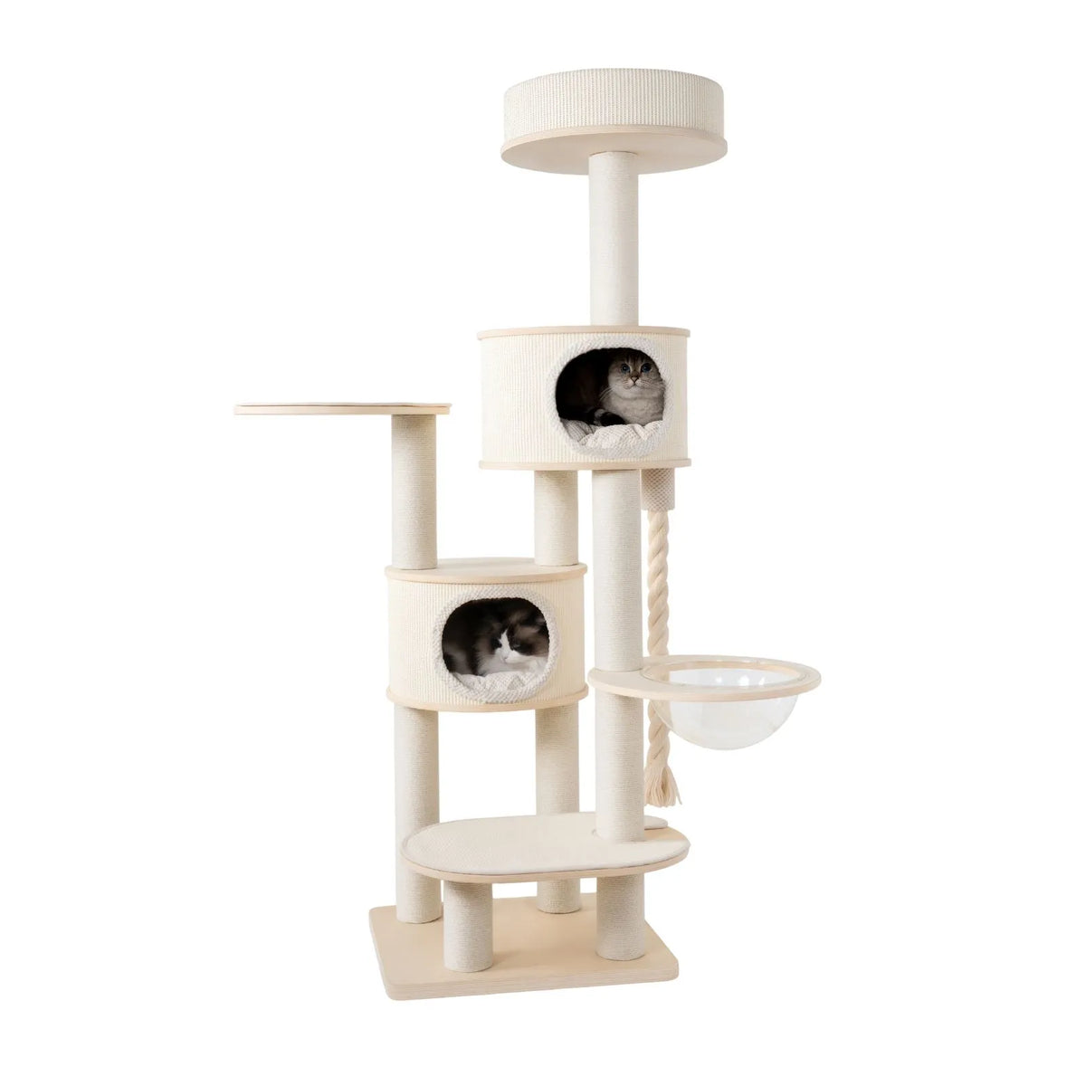 A multi-level Petoria Grove Twin-Den Cat Tree in cream and light beige, featuring two cats resting inside its cozy cubbies, set against a solid white background.