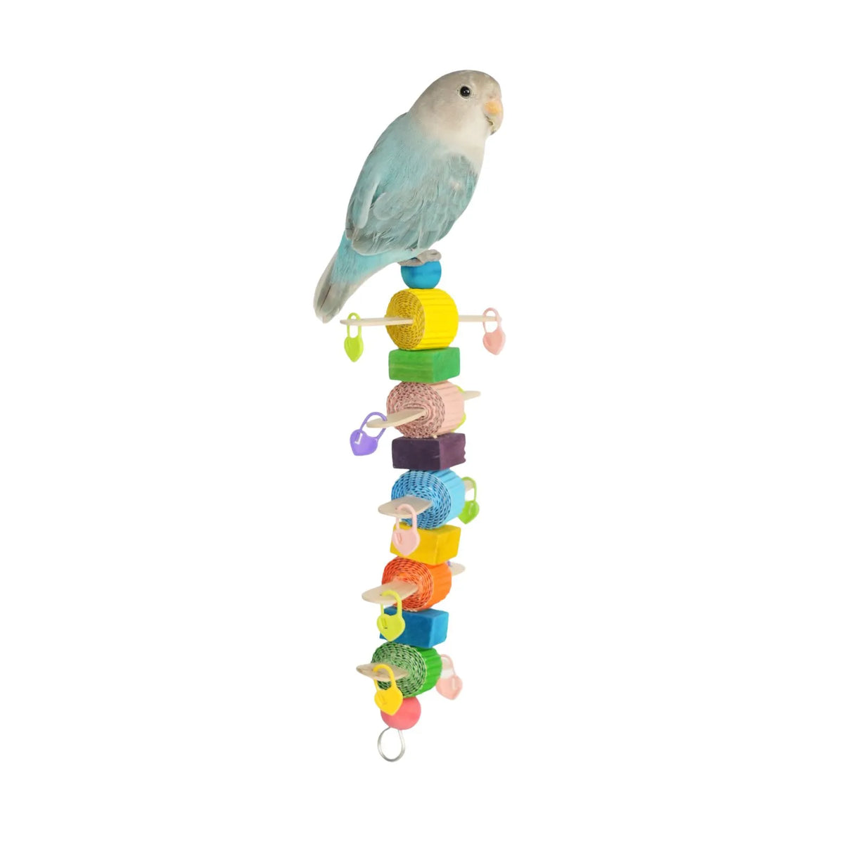 A small light blue and white bird perched on a Petoria Rainbow Activity Bird Ladder with colourful wooden rungs and hanging pieces