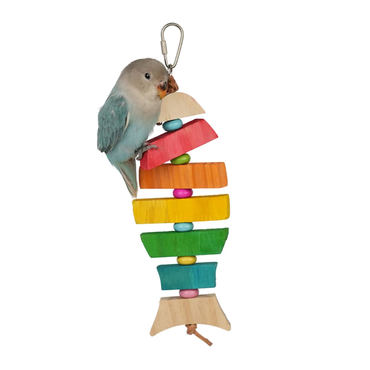 A small blue and gray bird perched on a Petoria Rainbow Fish Stacked Bird Chew Toy with colourful pine wood pieces