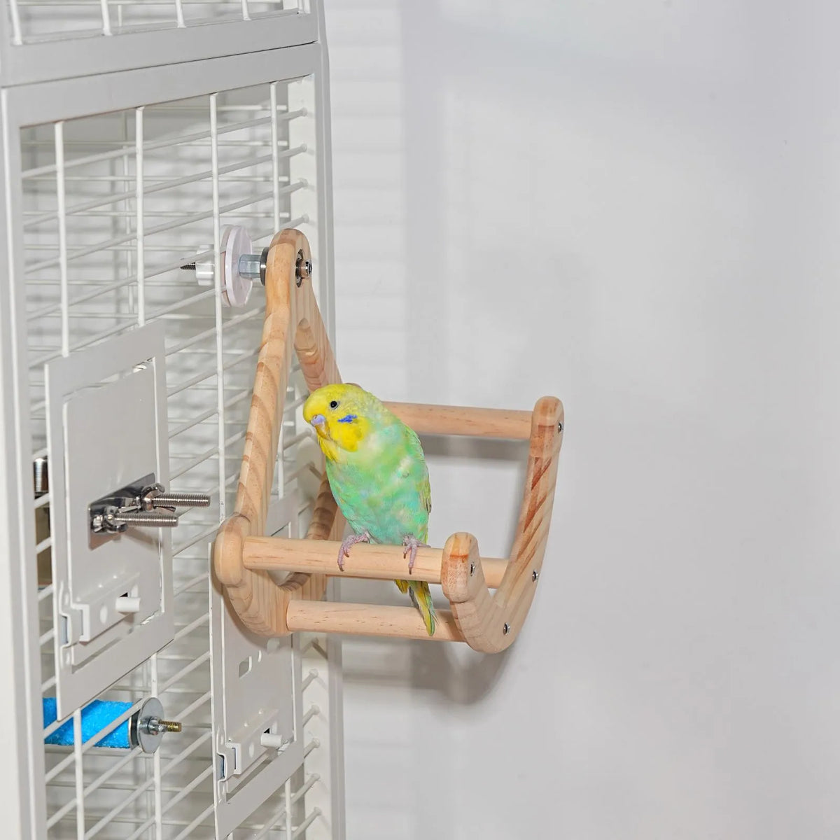 A small green and yellow budgerigar sits on a wooden bird perch attached to a white wire cage against a plain light gray wall.