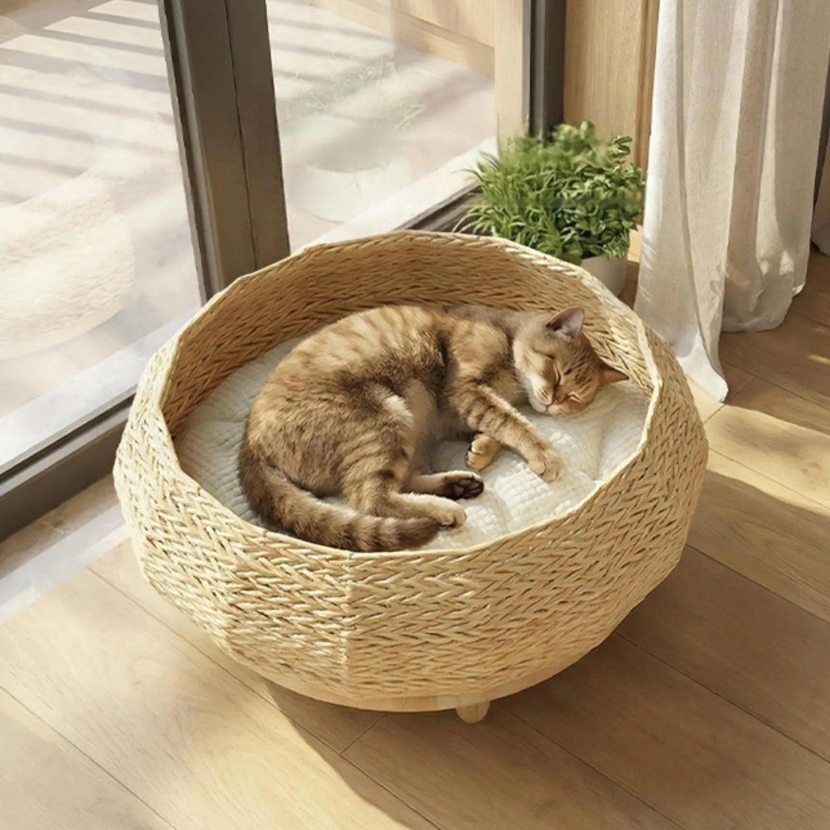 A brown tabby cat sleeps comfortably inside a Scandi Meadow round woven cat nest pet bed with a white cushion, placed on a light wood floor near a window with curtains and a small plant.