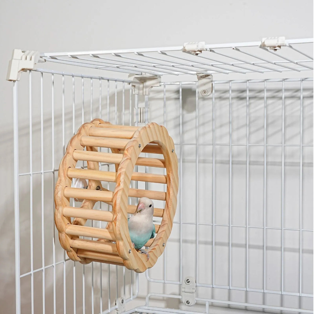 Petoria Spinning Activity Wheel Bird Toy