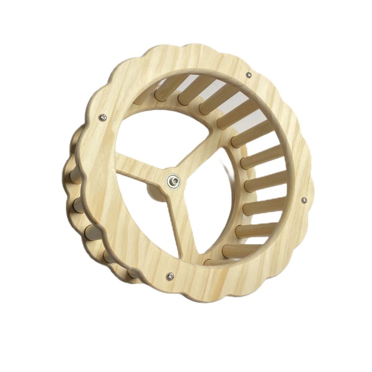 Petoria Spinning Activity Wheel Bird Toy