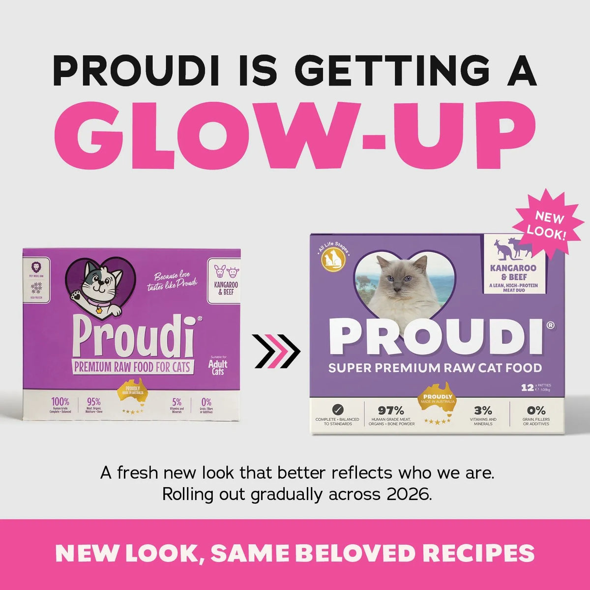 Proudi Kangaroo and Beef Raw Patties for Cats - 12 x 90g