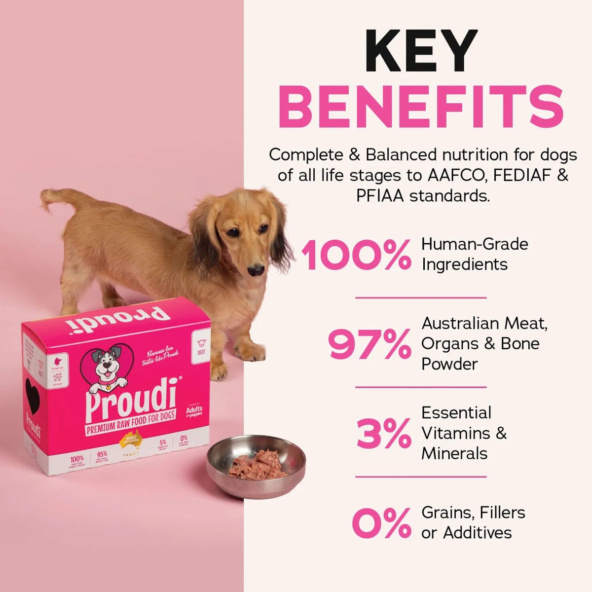Proudi Single Protein Beef Raw Patties for Dogs - 12 x 200g