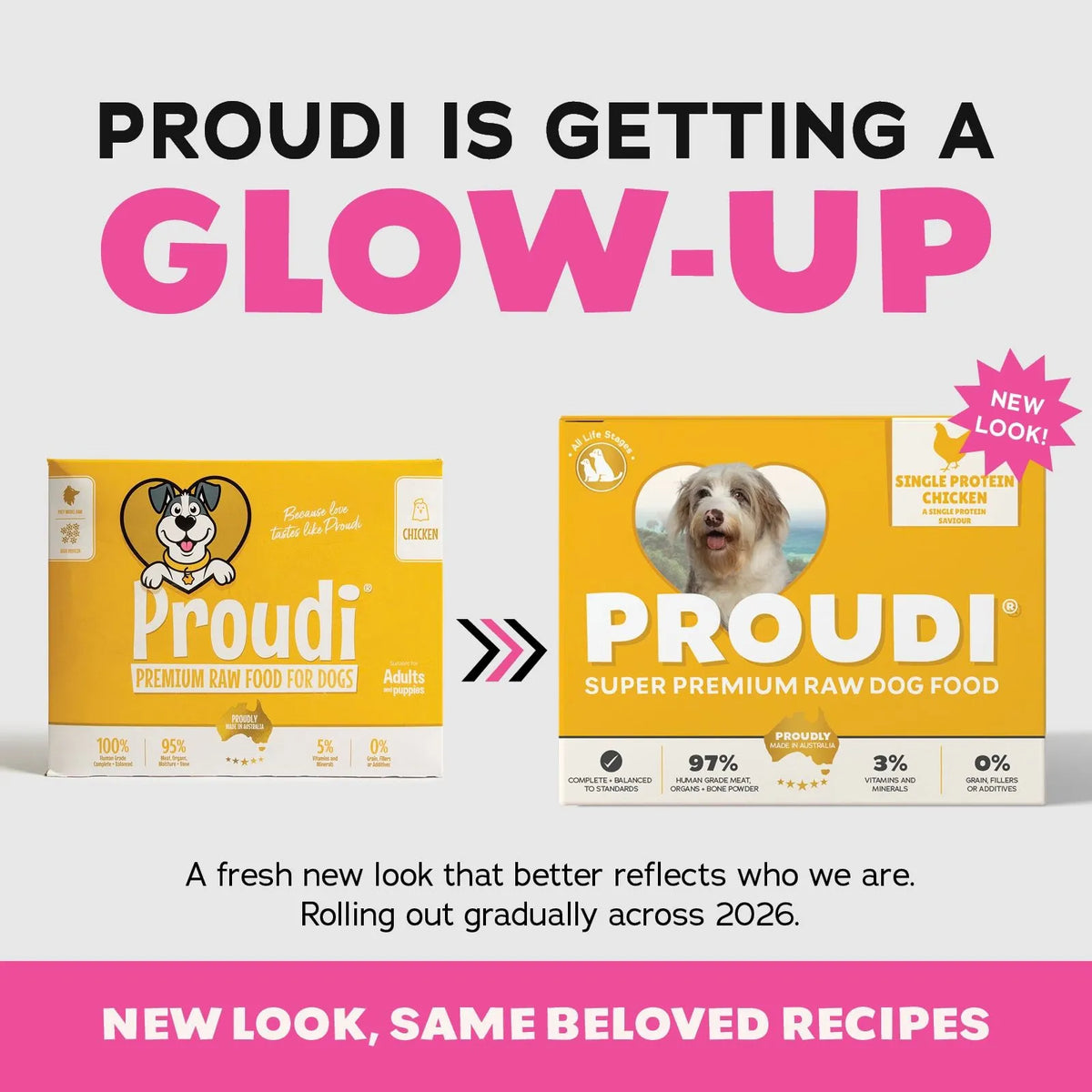 Proudi Single Protein Chicken Raw Patties for Dogs - 12 x 200g