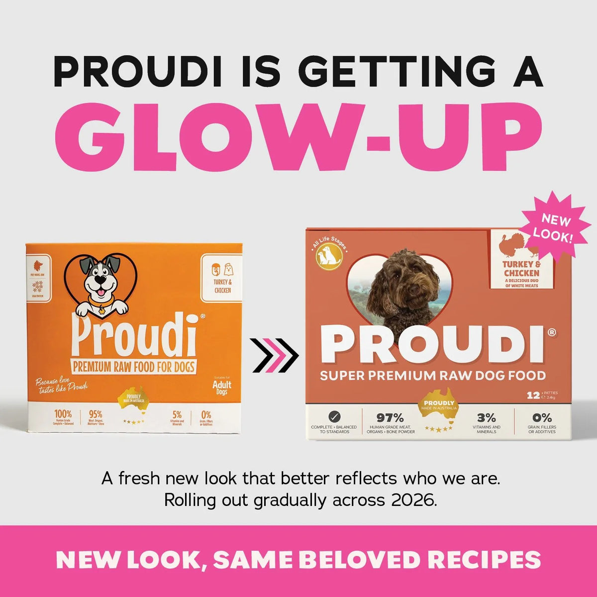 Proudi Turkey and Chicken Raw Patties for Dogs - 12 x 200g
