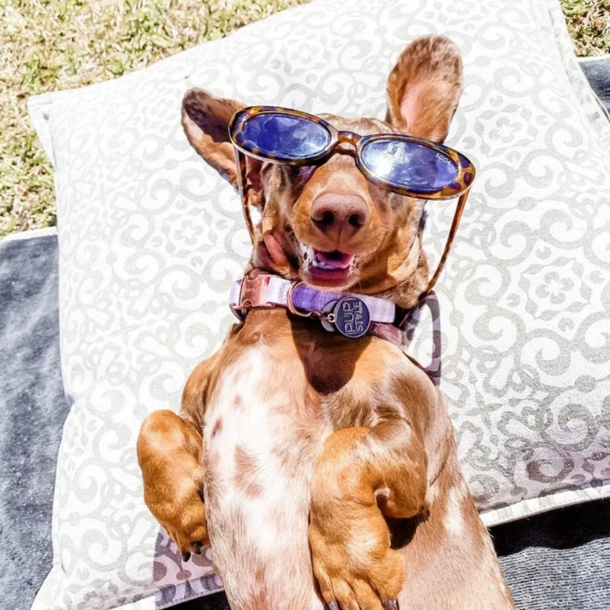Pupstyle Dog Collar Berry Milkshake