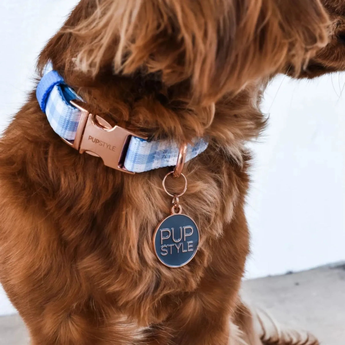Pupstyle Dog Collar Blueberry Muffin