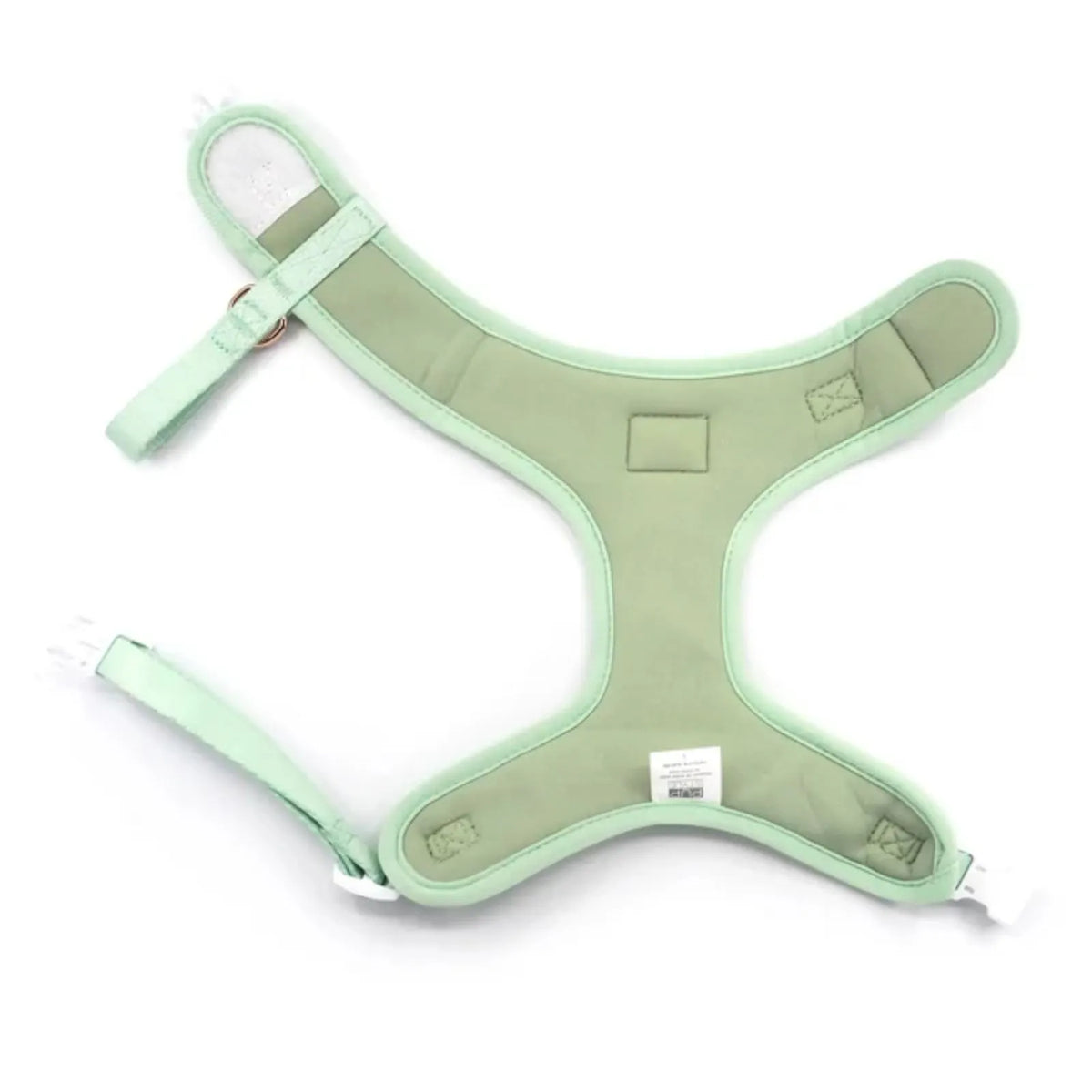A mint green pet harness with adjustable straps and plastic buckles, laid flat on a white background.