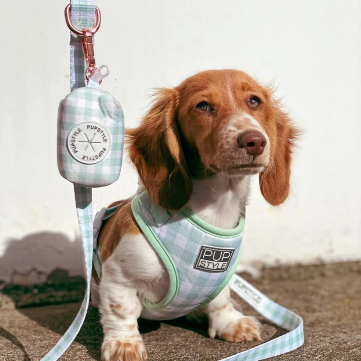 A small brown and white dog wearing a light blue and white gingham harness with mint green trim, attached to a matching leash and small pouch. The harness has a visible 'PUP STYLE' brand patch.