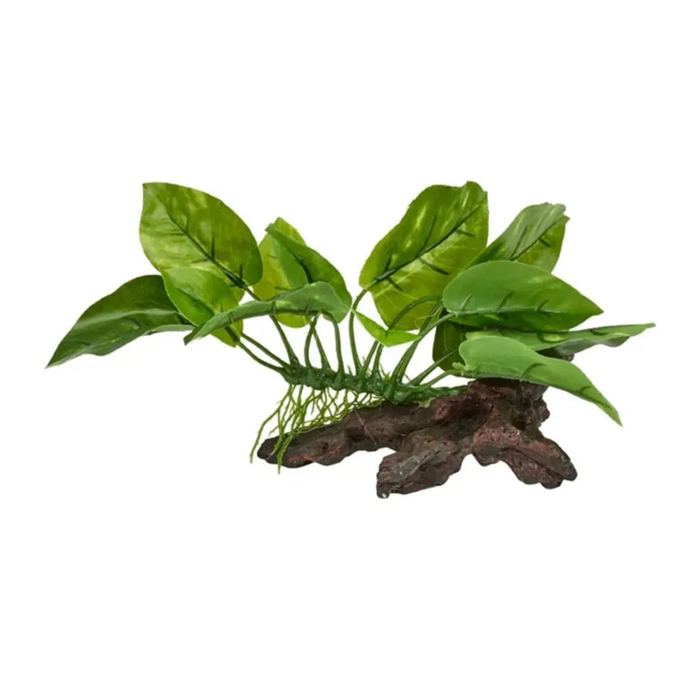 Reptile One Plastic Plant On Wood