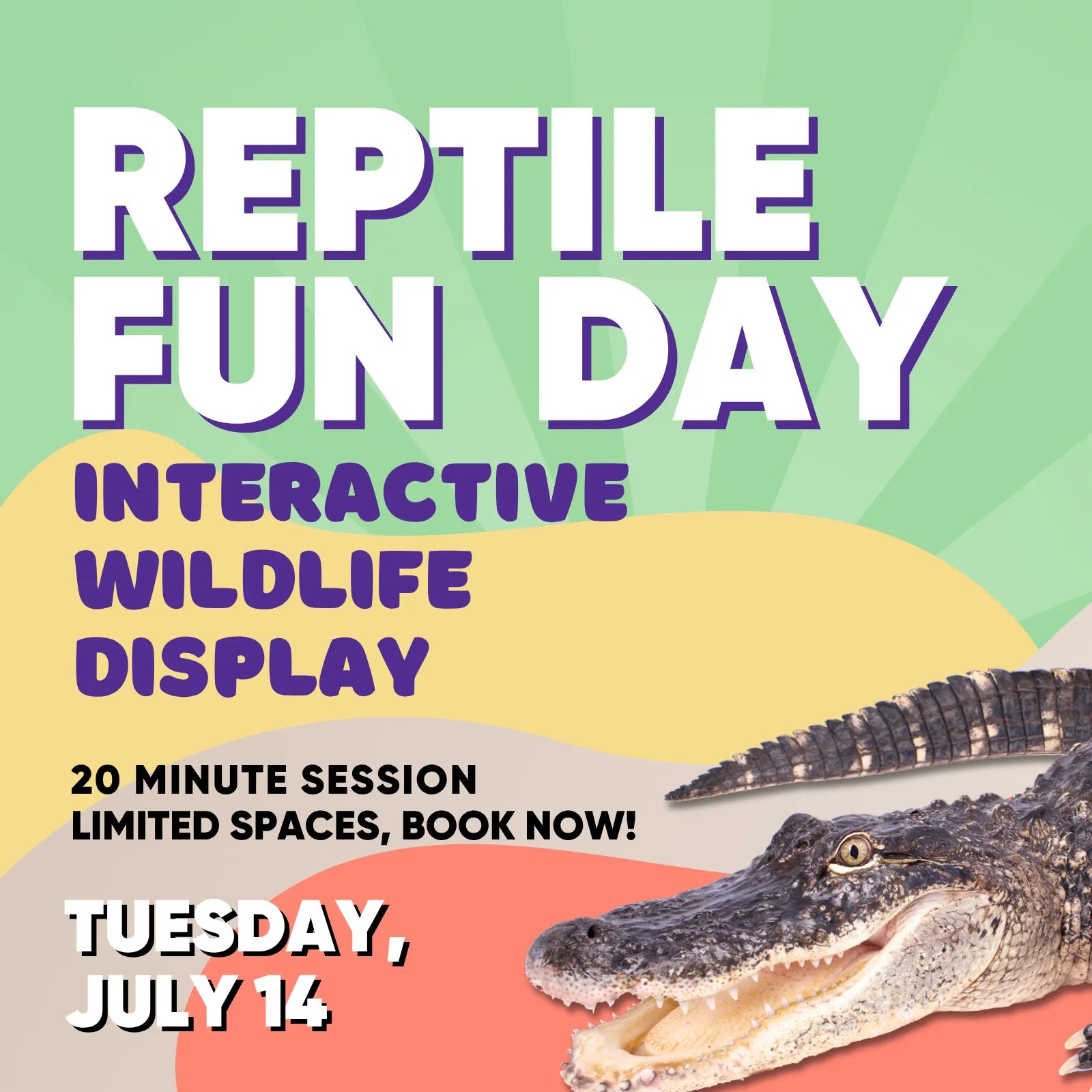 Interactive Wildlife Display Entry 2026