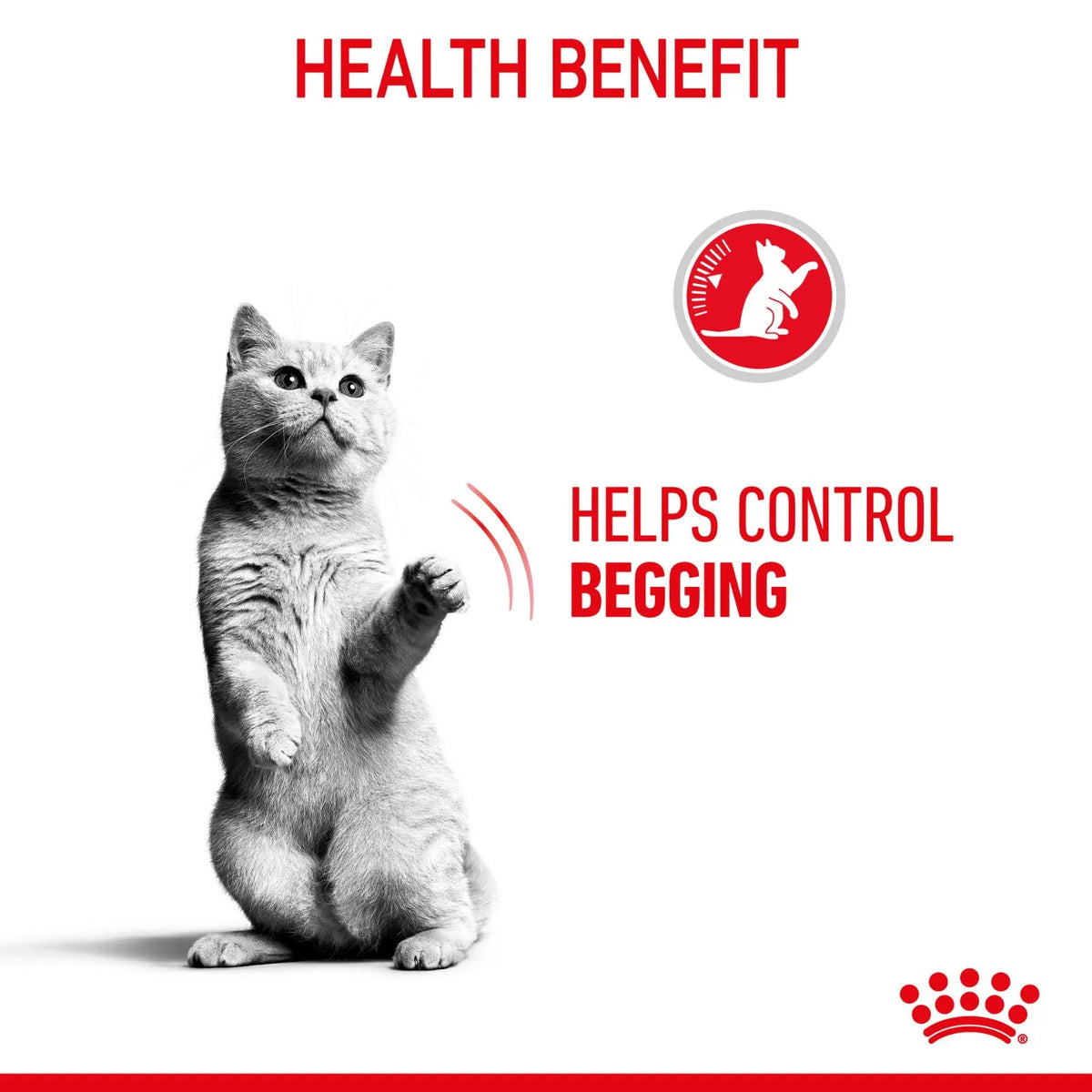 Royal Canin Cat Food Pouch Adult Appetite Control Gravy - 85g x 12