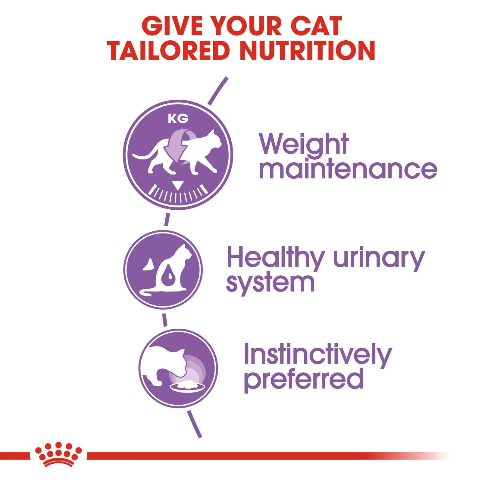 Royal Canin Cat Food Pouch Sterilised Adult in Jelly - 85g x 12