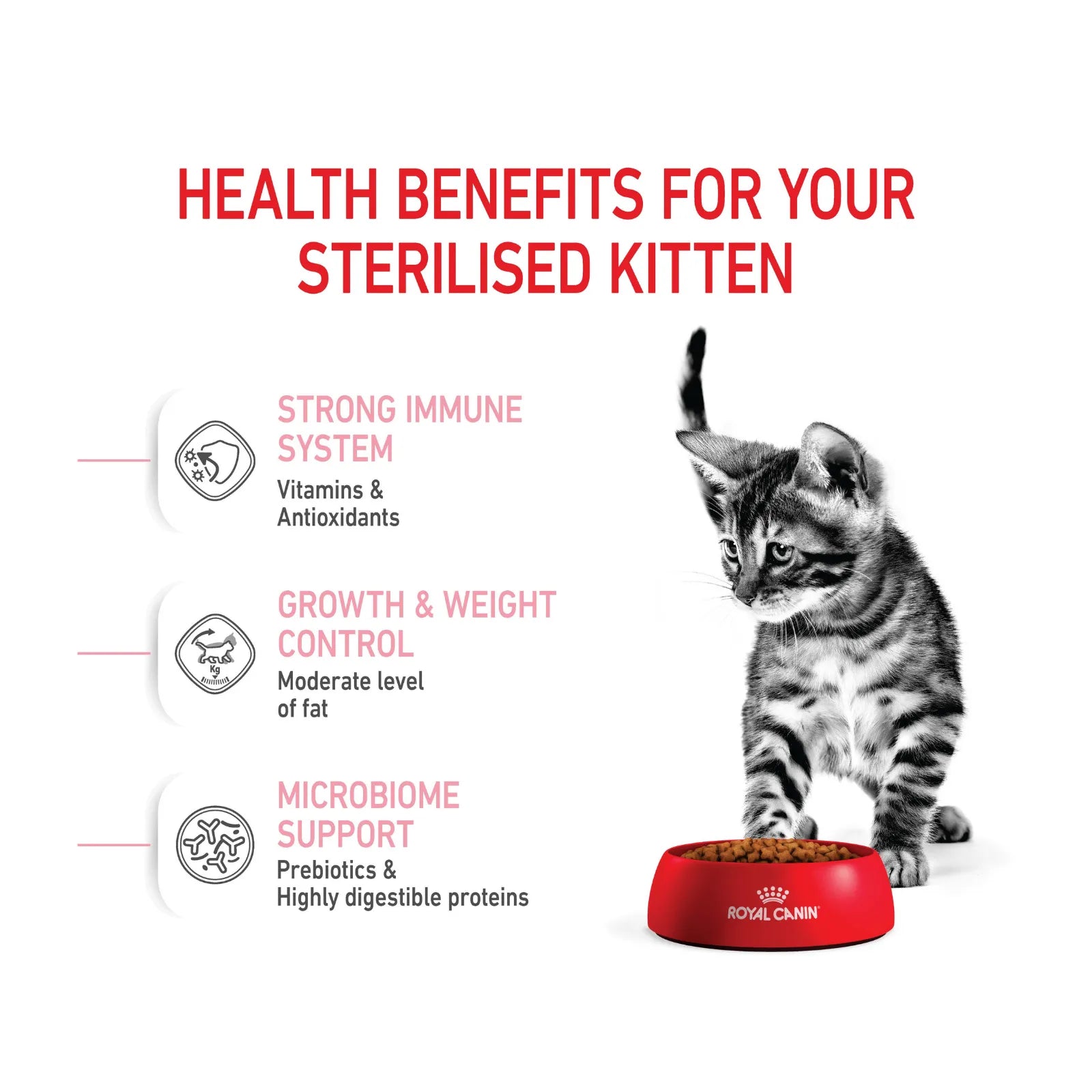 Royal Canin Cat Dry Food Sterilised Kitten - 2kg