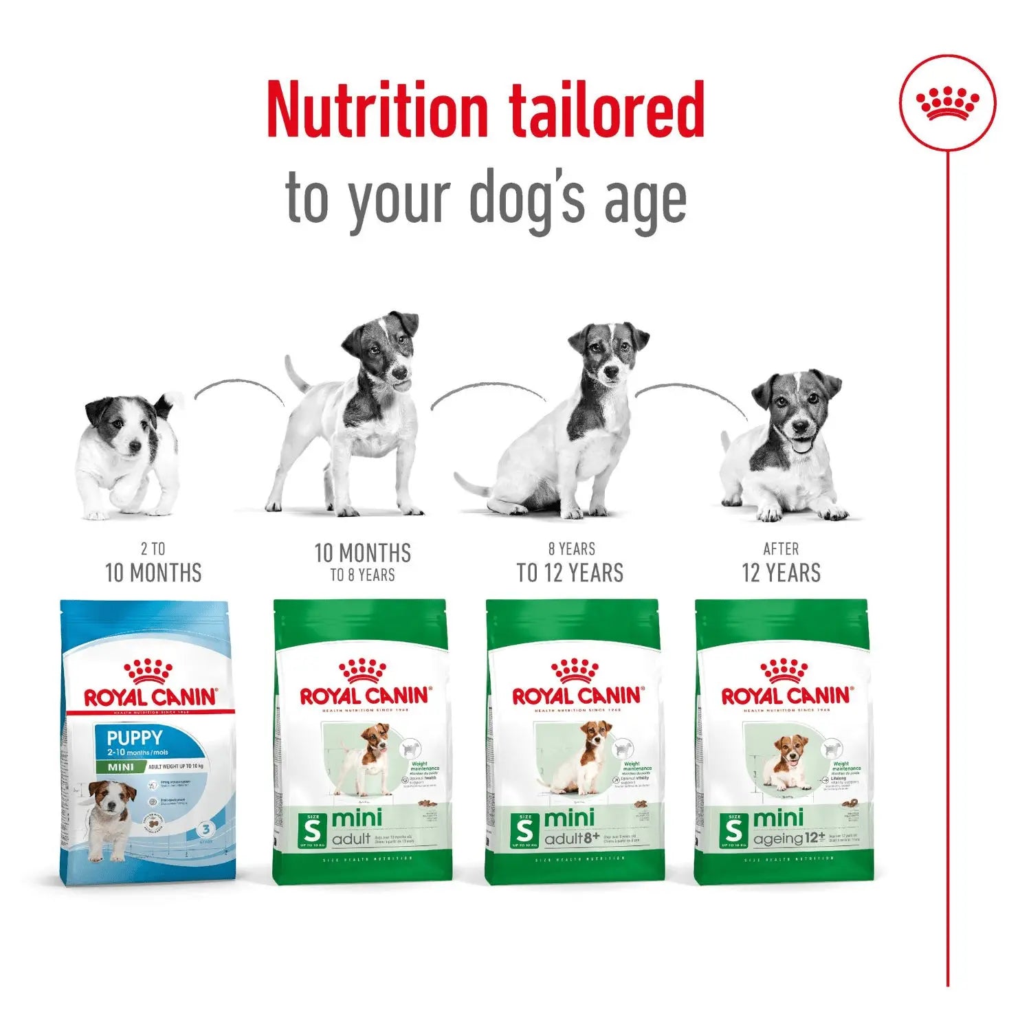 Royal Canin Dog Food Ageing 12+ Mini - Kellyville Pets