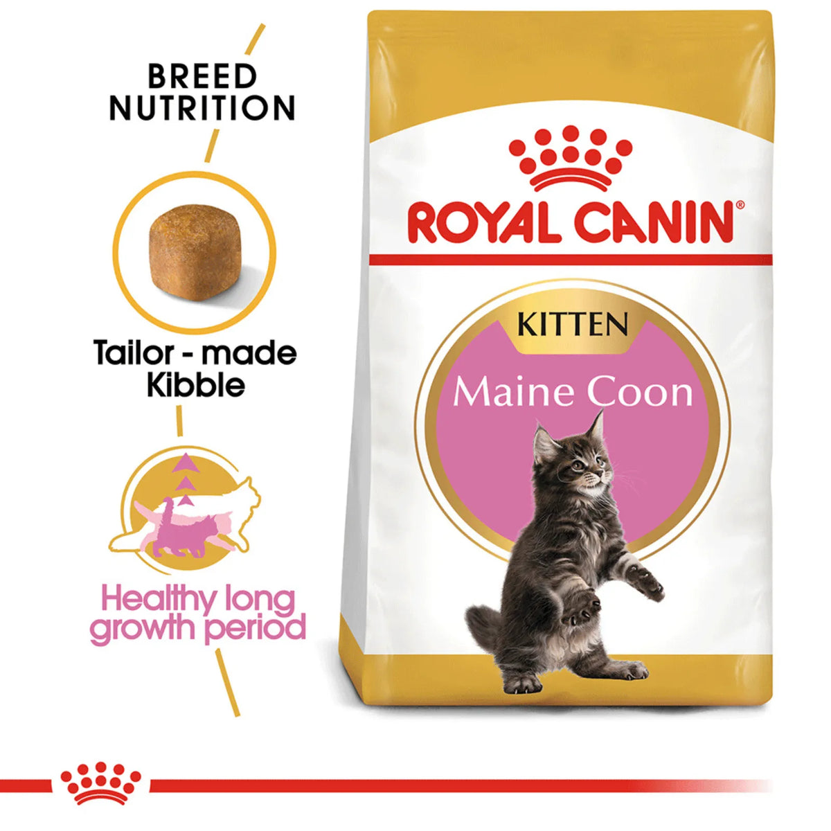 A bag of Royal Canin Kitten Maine Coon cat food on a white background, with text callouts about breed nutrition and tailor-made kibble. The bag is white and gold with a pink circular label, a red Royal Canin logo, and an image of a gray tabby kitten.