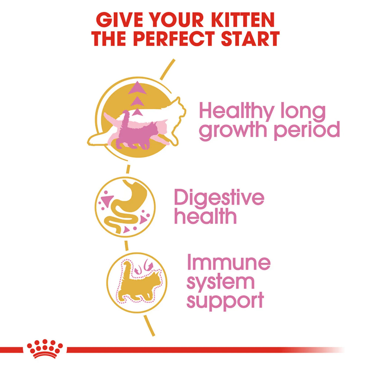Kitten care chart with text on a white background