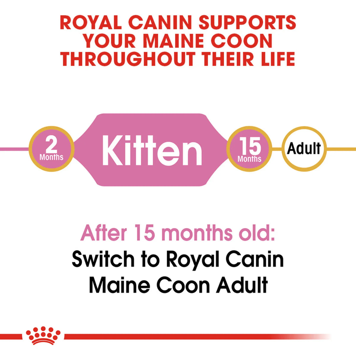 Royal Canin cat food packaging with text about feeding stages for Maine Coon cats.