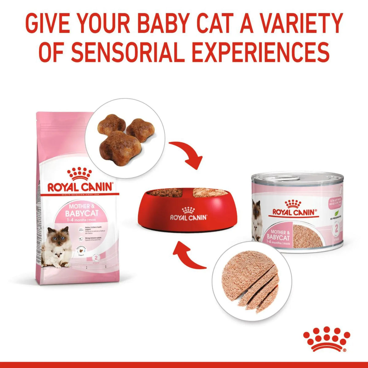 Royal Canin Kitten Food Can Mother & Baby - 195g x 12