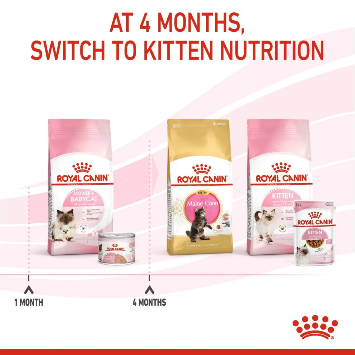 Royal Canin Kitten Food Can Mother & Baby - 195g x 12