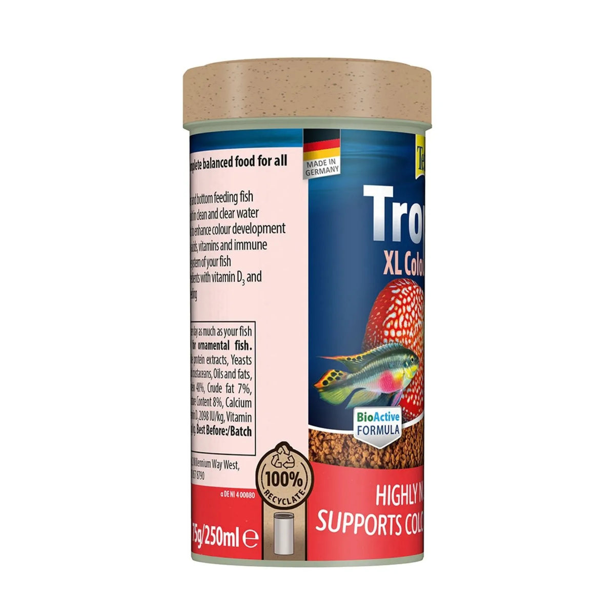 A 250ml canister of Trofish XL Color BioActive Formula fish food, featuring a blue label with a rainbow fish graphic, a red bottom banner, and a light brown lid, shown on a plain white background.