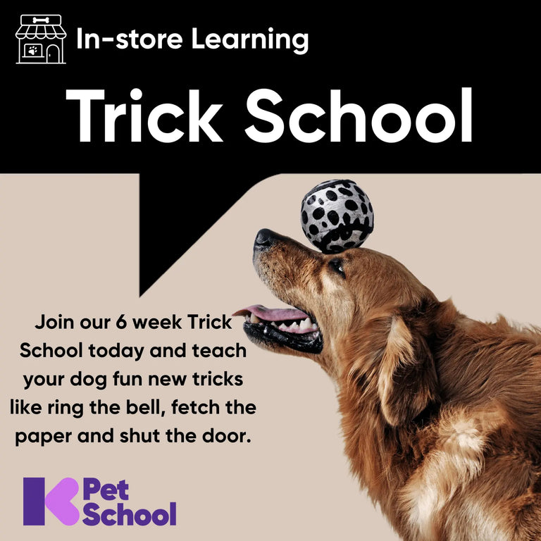 Trick School - Kellyville Pets